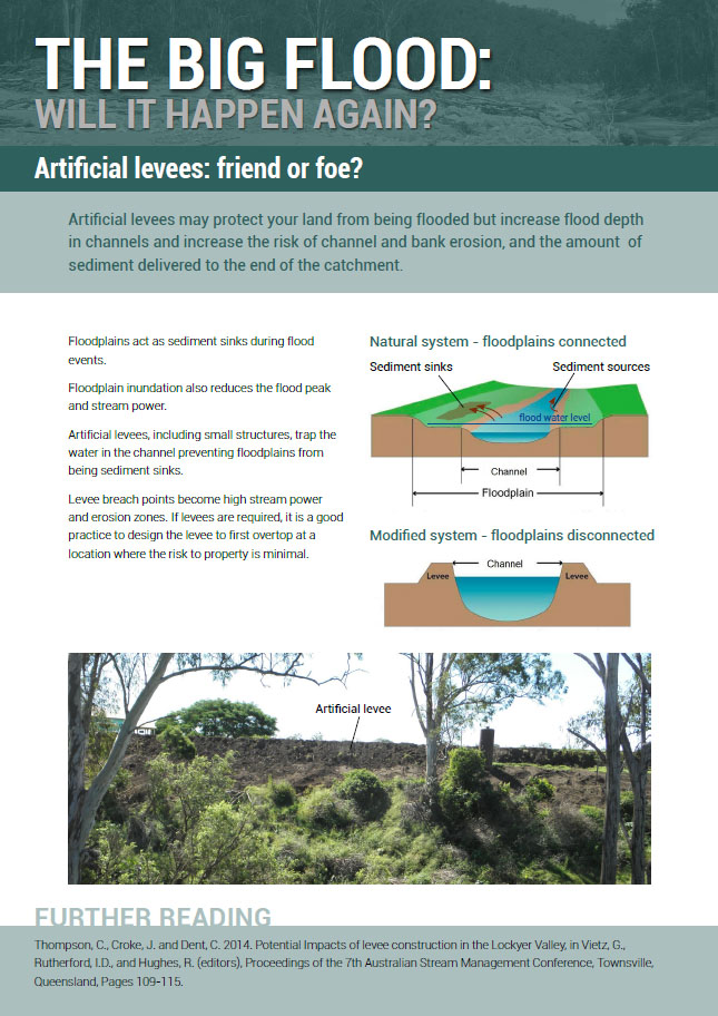 Artifical levees: friend or foe?